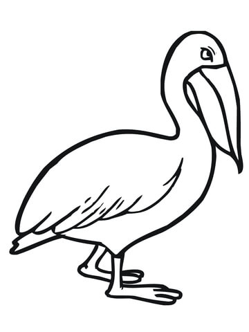 Walking Pelican Coloring Page